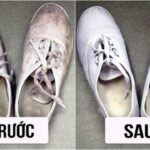 Top 8 Cách làm sạch giày bị mốc sau 1 đêm hiệu quả nhất