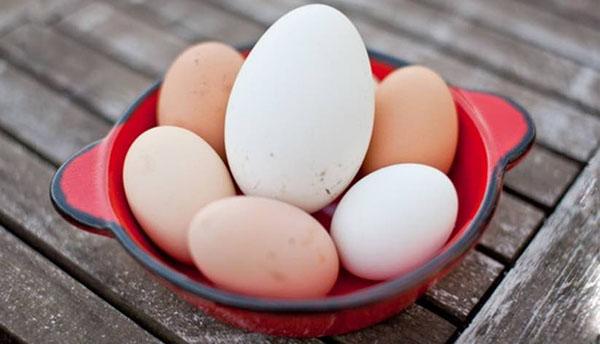 Hướng dẫn cách luộc trứng ngỗng cho bà bầu giàu dinh dưỡng